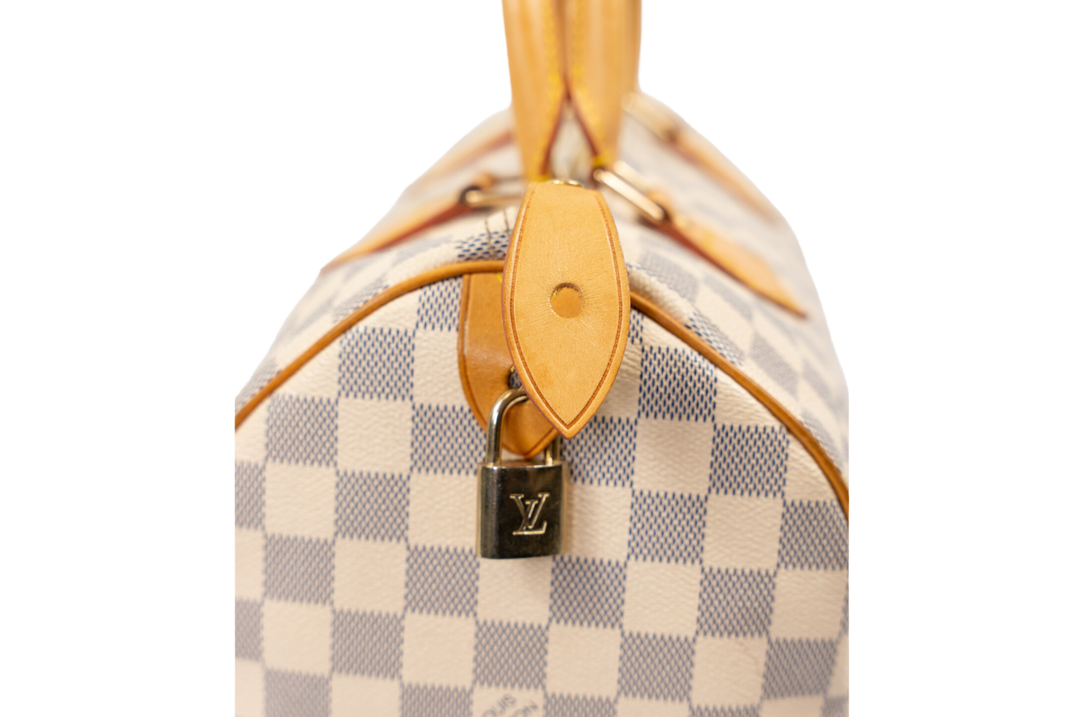 Louis Vuitton Speedy Travel Bag