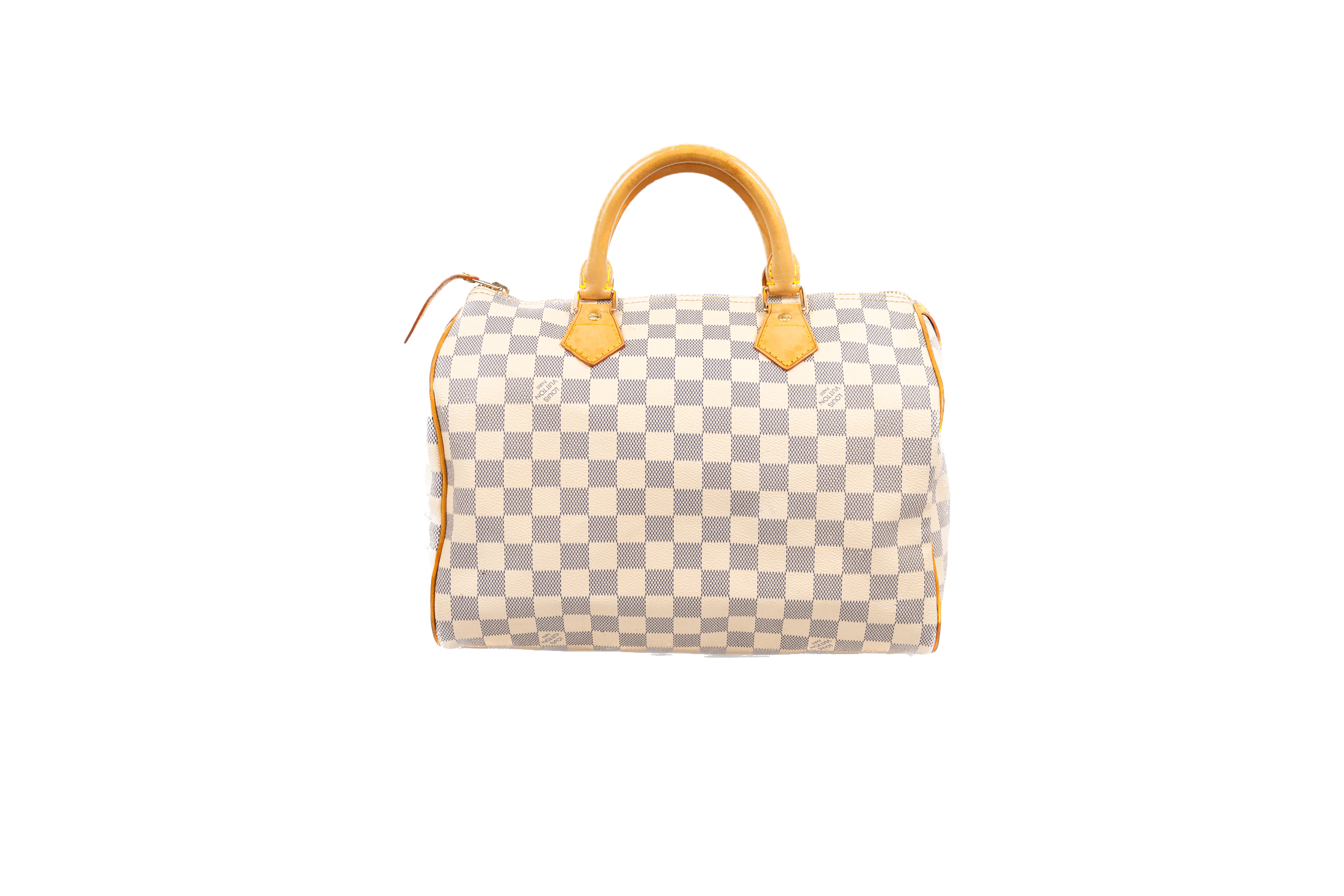 Louis Vuitton Speedy Travel Bag