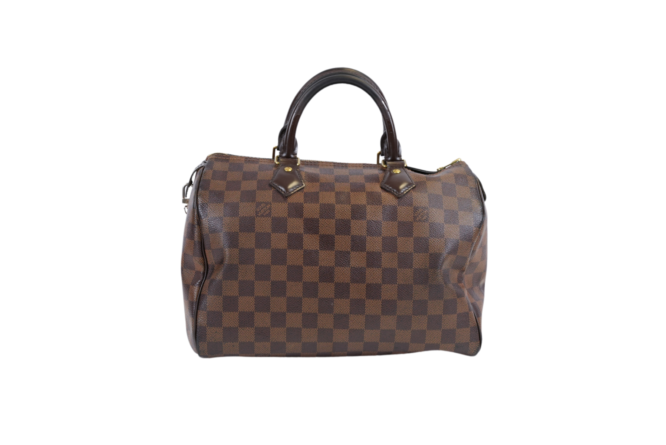 Louis Vuitton Speedy Travel Bag
