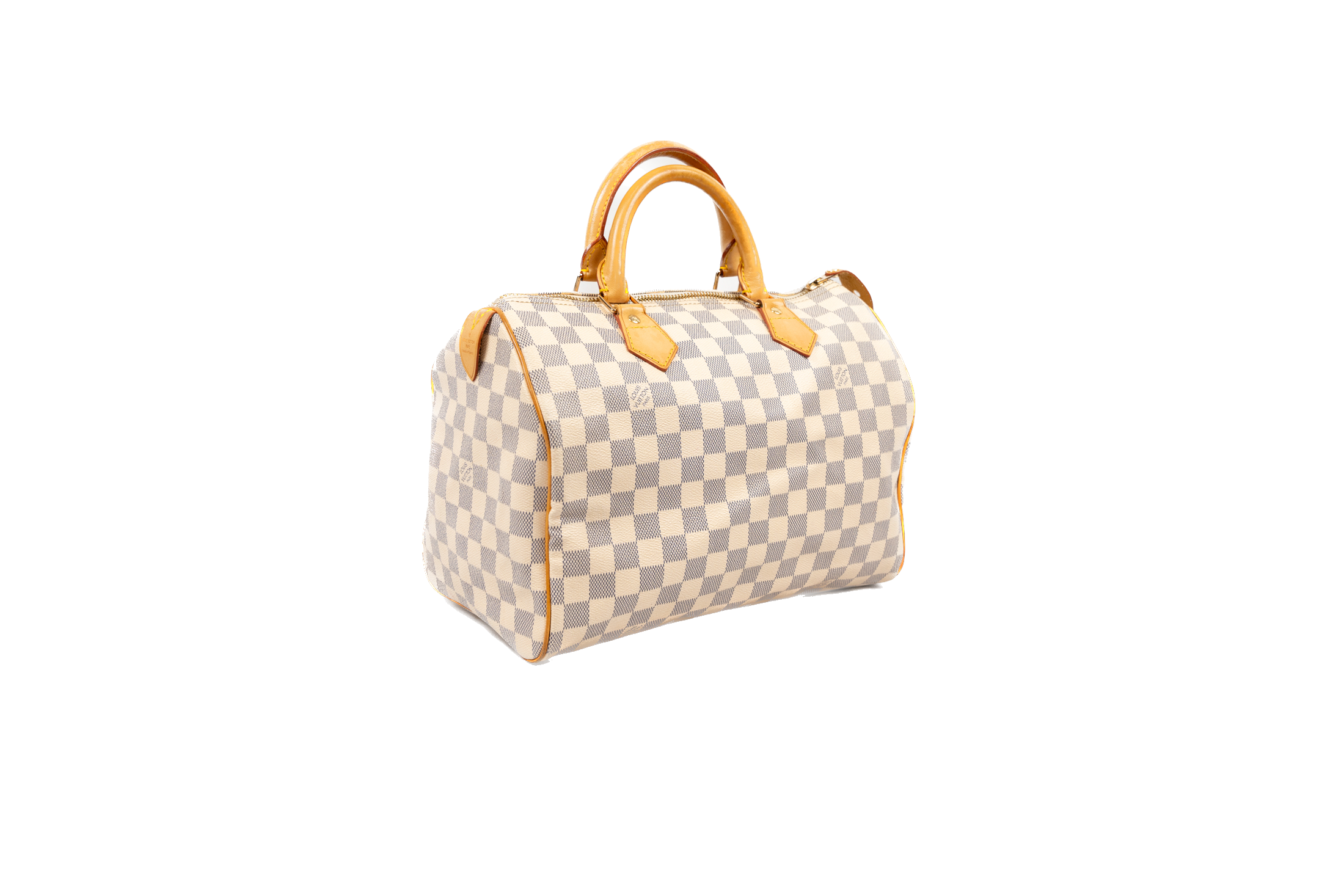 Louis Vuitton Speedy Travel Bag